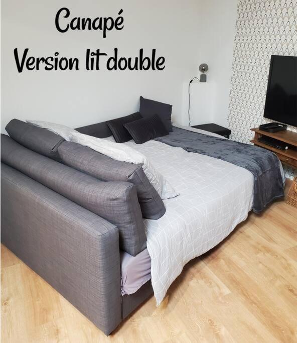 Gite Studio 4 A 6 Personnes Doué-la-Fontaine Extérieur photo